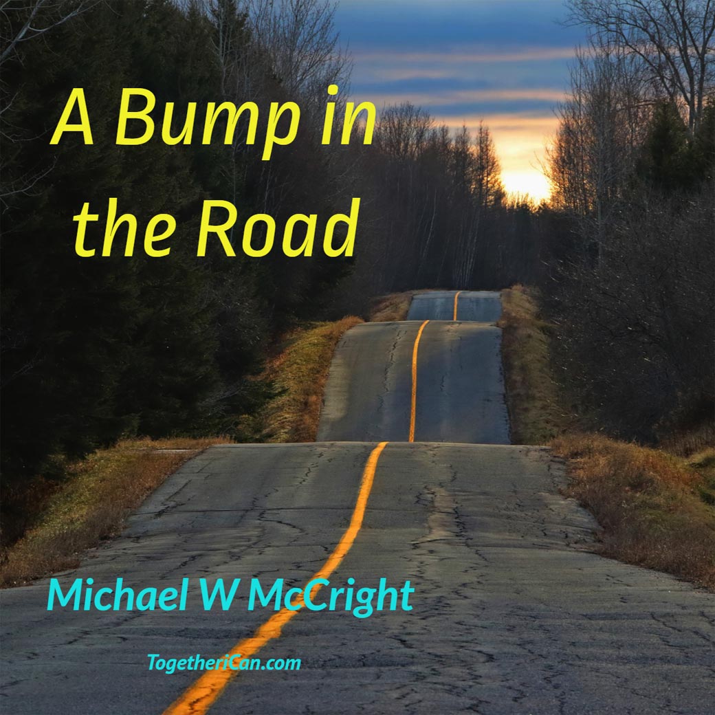 A Bump in the Road by Michael McCright